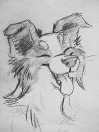 Pin by AmberBear Trahan on animals 2 | Sketches, Dog drawing, Drawing sketches