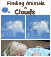 Finding Animals in Clouds by Wildlife Fun 4 Kids