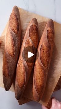 Katarina Cermelj on Instagram: "These gluten-free baguettes are so good even French people love them – which is really the ultimate compliment 😂🥖🥖 They have a soft, chewy open crumb with plenty of holes and a deliciously crisp crust, just like regular baguettes made with regular flour!! And they're really REALLY easy to make. 🙌 Full recipe is on my blog, link in my bio!

To get the gorgeous deep golden crust, make sure that your oven is thoroughly preheated and that you have a high concentration of steam in the oven during the first part of baking. You'll also get the best result if you bake them on a baking steel or stone (best oven spring) but a heavy-duty baking sheet works too.

#baguette #glutenfree #homemadebread"