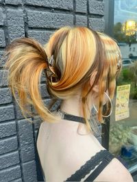 calico hair with racoon tails