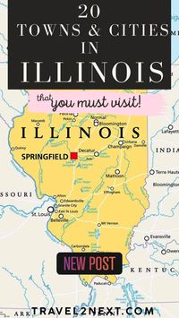 Wow! Illinois is filled with so many amazing towns and cities! Some of the most popular ones include Chicago, Springfield, Rockford, Aurora, Naperville, Peoria, and Champaign. Each one has its own unique charm and attractions. Explore them all!