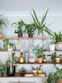 Sky Planters,table gardens and Planters in the shape of letters!!!!Oh my,we are being spoilt!Genius ideas on adding some much needed nature to your inside abode.