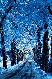 ***Winter avenue (Stockholm, Sweden) by Marcelline Pirkle