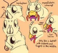 im hugely inspired by the way you draw anthro bugs, and i was wondering how you go about simplifying mouthparts? I'm trying to simplify a domino roach's mouthparts becauase that's my favorite species…