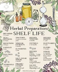 ✨ Save this for future reference ✨ The shelf life for homemade herbal products can vary quite a bit based on the ingredients. Tinctures… | Instagram