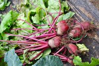 Old Fashioned Sweet Pickled Beets