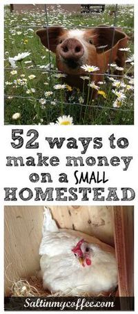 52 great ideas for increasing income from a small homestead. Excellent brainstorming resource for anyone with a mini homestead, or even a big backyard!