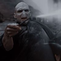 @vasguett » lord voldemort icon aesthetic.