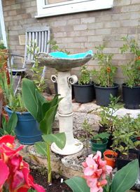 Birdbath New Large Ceramic Made to Order.. - Etsy