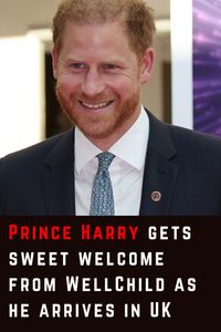 Did WellChild give Prince Harry a warm welcome in the UK?