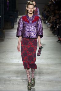 Dries Van Noten Spring 2016 Ready-to-Wear Fashion Show - Lena Hardt