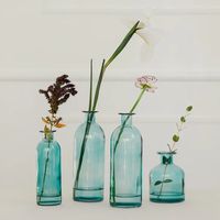 Assorted Glass Bottle Flower Vases - Blue - Set of 4