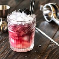 Orange Blackberry Whiskey Sour | Bird Dog Whiskey