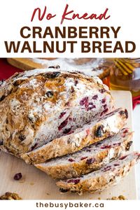 This No-Knead Cranberry Walnut Bread recipe is perfect for beginner bakers! The combination of tart cranberries, sweet honey, and crunchy walnuts creates a delicious loaf with minimal effort. Simply mix, let it rise, and bake for a bakery-quality result. Great for the holidays, this bread pairs beautifully with soups, cheeses, or as a sweet breakfast treat.