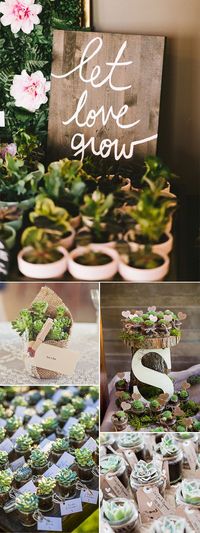 DIY succulent wedding favor ideas (Wedding Diy Ideas)