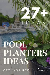 27+ Poolside Planter Ideas That Create Value in 2024 | Houszed