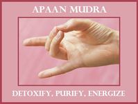 Apaan Mudra-Detoxify,Purify,Energize balancedwomensblog.com