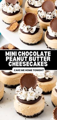 Mini chocolate peanut butter cheesecakes are an easy, no bake dessert for Reese's lovers! Made with a chocolate cookie crust, creamy peanut butter cheesecake filling, chocolate ganache, whipped cream, and Reese's cups, these mini peanut butter cheesecakes are the perfect little sweet treat!