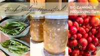 🫛🍅🍏BIG Canning & Preserving Day| Homemade Applesauce | Canned Tomatoes | Preserving Green Beans