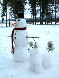 9 Dog Snowmen That Will Definitely Impress the Neighbors | The Dog People by Rover.com