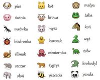 Polish language for beginners