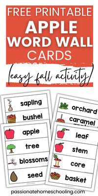 Make your apple unit study preschool sessions fun with these free printable apple word wall cards. Ideal for back-to-school preschool themes and fall activities. Use them as a word-of-the-day tool to boost apple vocabulary in preschool, kindergarten, first grade, and second grade. These cards are designed to enhance language learning while keeping kids interested and excited about discovering new words.