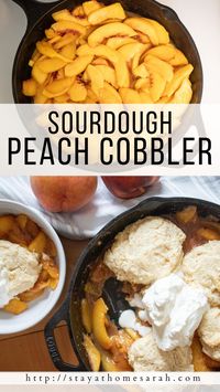 Sourdough Peach Cobbler is a delicious seasonal summery dessert. Peaches lightly sweetened with maple syrup topped with soft and fluffy sourdough biscuits. Baked in a cast iron skillet for a beautiful dish!