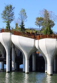 More Trees and Shrubbery Planted on Thomas Heatherwick's 'Little Island' at Pier 55 in Chelsea - New York YIMBY