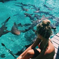 Natasha oakley with nurse sharks in The Bahamas Instagram.com/tashoakley