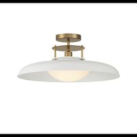 Savoy House 6-1685-1-142 Gavin 20" Wide Semi-Flush Ceiling | Build.com