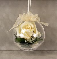 Preserved flowers in ornament - want to do one for the Christmas tree!