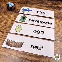 Birds Preschool Activity Pack