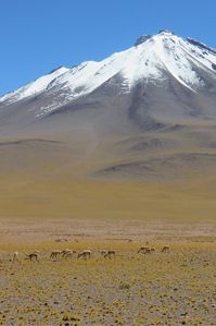 Blog voyage - paysage magnifique du nord du Chili, les lagunes proche du désert d'Atacama. Une destination de lacs et de volcans à découvrir absolument. #tourdumonde #Chili #photographie