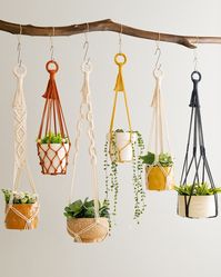 For all the plant lovers out there, our BeanDaikon Macrame Plant Hanger is a perfect piece to showcase your lovely plants and elevate your home decor. Our product is designed to help you save space while adding a fresh and stylish touch to your living space. Don't miss out—get yours now at https://beandaikon.com or click the link in our bio to visit our shop! #BeanDaikon #MacramePlantHanger #PlantLovers #AffordableLuxury #Houseplants #InteriorDesign #homedecor #handmademacrame