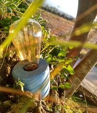 Photoshoot of  cylindrical lamps blending concrete and nature #desklamp #nature #concrete #cylindrical #photoshootnature #concretelamp