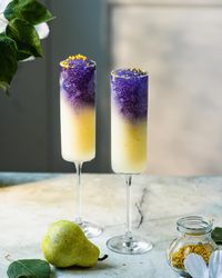 STARRY NIGHT GRANITA - Empress 1908 Gin