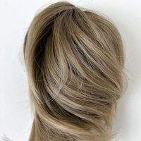 Apexhairs Straight Bun Style PXH12