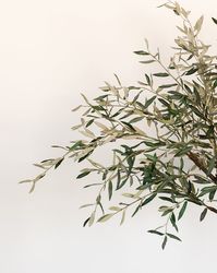 Crafted after its spring-time form, our Mediterranean Faux Olive Tree features youthful branches and realistic detailing all formed around a moldable wire frame, easily complementing the space it’s placed in. Let its no-maintenance design bring a lived-in feel to your home all year round. Drop in only - pot not included.