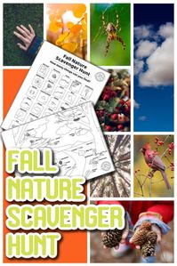 Free Fall Nature Scavenger Hunt for Kids with Printable | Kids Activities Blog