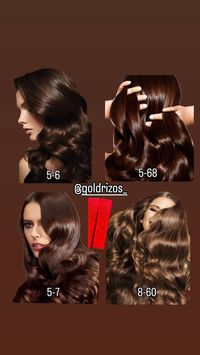 Gold Rizos| Tienda de cosméticos y productos de belleza 🛍 | Conoce los tonos chocolate 🍫 que son tendencia este 2024 de la marca igora royal todos disponibles en Gold Rizos #igoraroyal #schwarzkopf … | Instagram