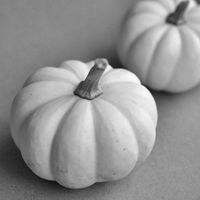 Black and white photography: wall picture of white pumpkins as a modern square artwork for your grey and white kitchen or dining room wall art decor More Pumpkin Photography https://etsy.me/2wBWoL2 More Black and White / Monochrome Photography http://etsy.me/1qngoWR . More Food Photography: http://etsy.me/RhWIbF Title:'3 Pumpkins in Grey ' Artist: Irina Wardas .... Printed on UltraPro Satin paper for a brilliant color and detail reproduction that will last a lifetime; signed by the artist and pa