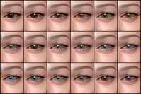 Simmart: Eyes #4