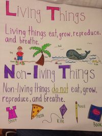 Living and Non-living anchor chart