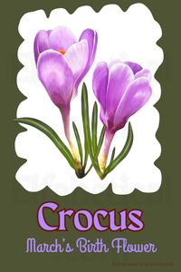 I made this graphic poster in a retro 1960s style of March's Birth Flower, the Crocus. The Crocus is also the birth flower of zodiac signs Aries & Pisces. These low growing blooms grace hedgerows and parks in early spring. Due to their production of the spice saffron, they have been cultivated by humanity since records began. Visit my website elfabetical.com to find out more about the meaning of your unique birth flower along with birth flower tattoo inspiration with lots of illustrations. #crocus #march #marchflowers #springflowers #vintagedecor #birthflowers #flowers #graphicposter #retroposter #retropostcard #flowerpainting #cottagedecor #1950sposter #1960sposter #1940sposter