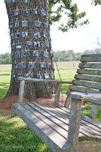 love the photos on the tree - great for Anniversary, wedding or birthdays!