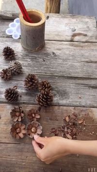 Painting on #pinecones, make some flowers with pinecones#painting#diy#Dearlives