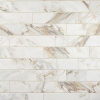 https://i8.amplience.net/i/flooranddecor/100872993_calacatta-vecchia-ceramic-wall-tile_display?fmt=auto&qlt=85