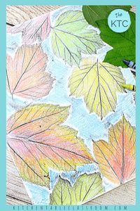 Easy Crayon Leaf Rubbing - The Kitchen Table Classroom