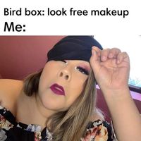 Funny makeup meme from Netflix movie Bird Box #funny #makeup #makeupmemes