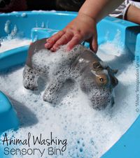 Animals Washing Sensory Play Activity for toddlers! This is a great sensory bin for those warm summer days!